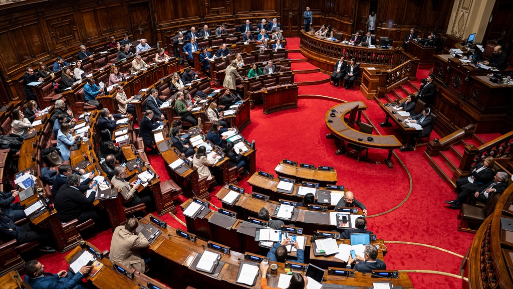 Cámara de Diputados. Foto: Mauricio Zina / adhocFOTOS