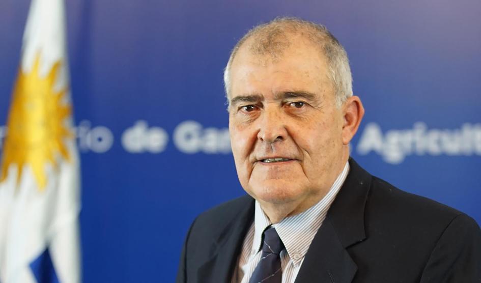 Diego De Freitas