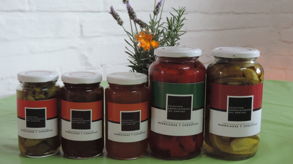 Colectivo Las Gurisas que trabaja con la producción agroecológica