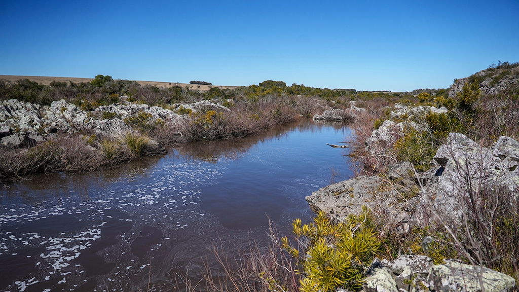Lugar del río Casupá, en el "Paso de la Corriente", donde se construirá el muro de la represa de Casupá, en el departamento de Florida Foto: Mauricio Zina / adhocFOTOS