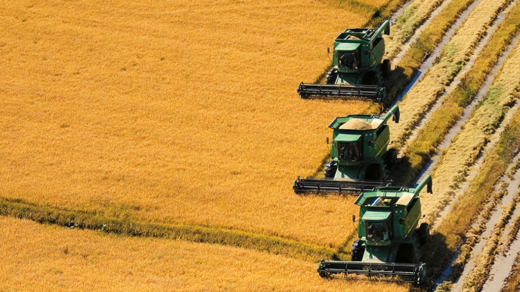 Siembra de arroz. Foto: Ministerio de Turismo