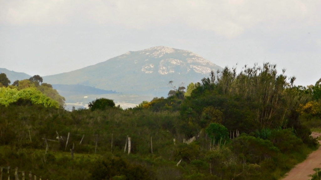 Proyecto “Raíces”