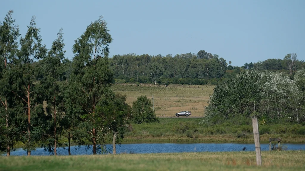 Campo, paisaje. Foto: adhocFotos